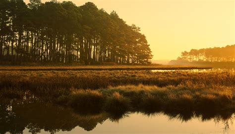 Facts on the Atlantic Coastal Plains | Sciencing