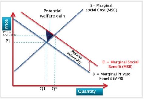 Positive Externality of Consumption. Welfare Loss or Welfare Gain? : econhw