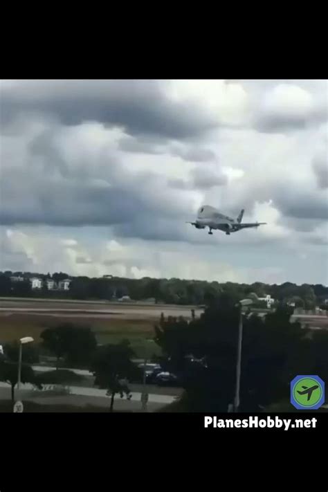 Airbus Beluga landing [Video] en 2021 | Aviones, Aviones comerciales, Aviacion