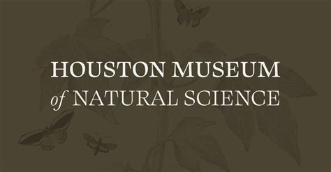 Houston Museum of Natural Science Exhibits