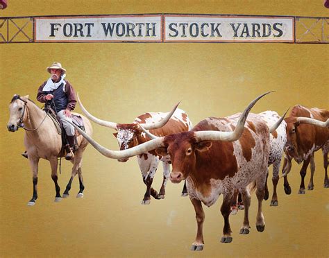 Fort Worth Stockyards Cattle Drive 101220 Photograph by Rospotte Photography