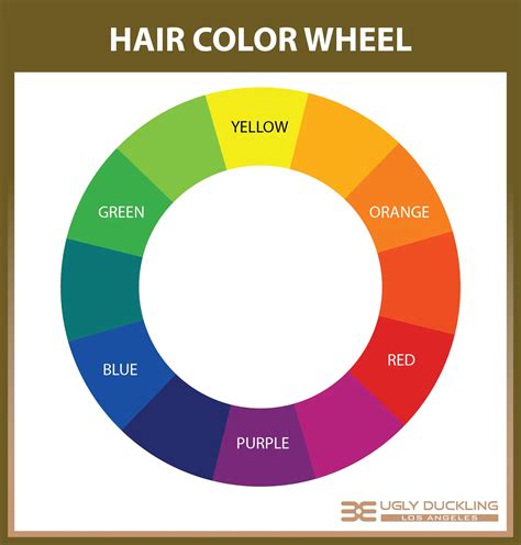 The Hair Color Wheel Explained - The Secrets of Color Neutralization ...