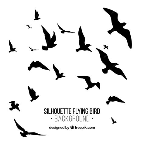 Premium Vector | Silhouette flying bird background