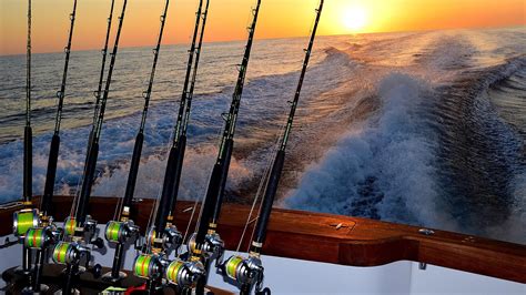 Recreational boat fishing - Fish Choices