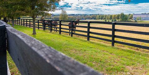 How To Choose The Best Manure Spreader for Your Horse Farm or Hobby ...