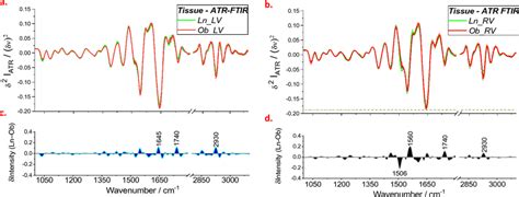 Mean ATR-FTIR spectra obtained from tissues of the left (a) and right... | Download Scientific ...