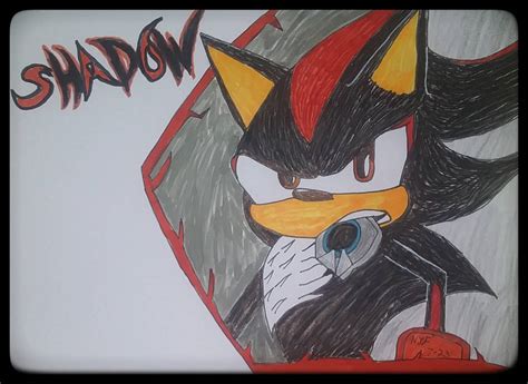 Shadow the hedgehog Fan Art by gamernate96 on DeviantArt