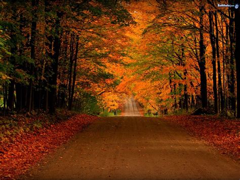 Fall Screensavers For Desktop Screensavers Autumn Wallpaper Fall Wallpapers Beautiful Colors ...