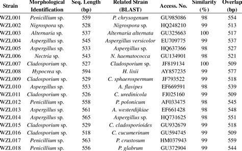 Identification of fungal strains isolated from the gorgonian... | Download Table