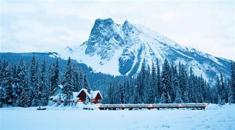 Winter Lodges: Cozy Places to Book for Snowy Getaways