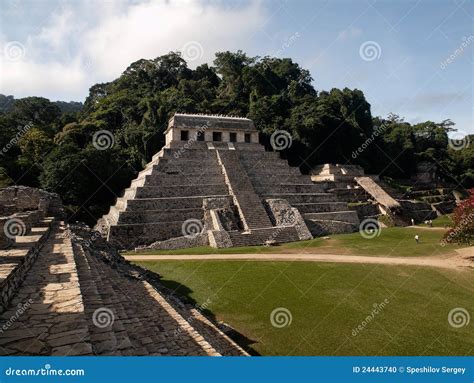 The pyramids at Palenque stock photo. Image of forest - 24443740