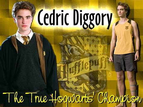 Hufflepuff! - Hogwarts House Rivalry! Photo (19827606) - Fanpop