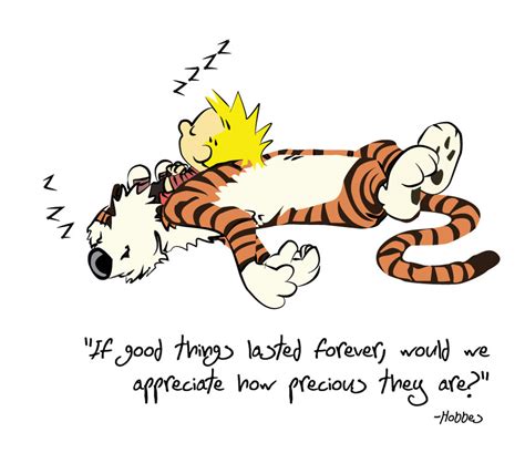 Calvin And Hobbes Quotes On Love. QuotesGram