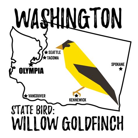 Washington State Bird - Bird Watching Academy