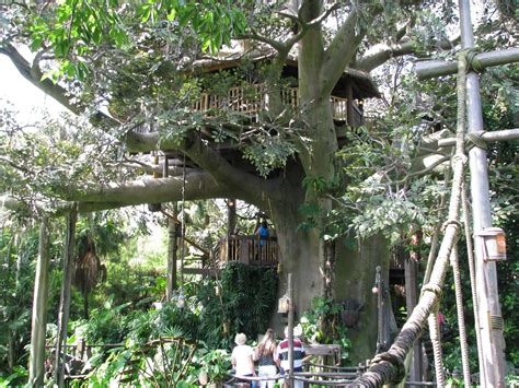 Exploring The Swiss Family Robinson Treehouse | Disney World Blog ...