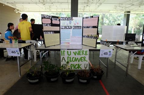 Science Fair project - Bee's E-portfolio