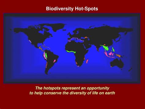 PPT - Biodiversity Hotspots PowerPoint Presentation, free download - ID ...