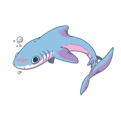 Pin by Сигни Ло on Бестиарий 05.19 | Shark art, Shark drawing, Cute shark