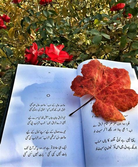 Pin by Abu Bakar Gulzar on Jaun Elia | Poetry collection, Book cover ...