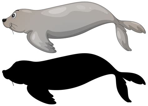 Sea Lion Silhouette Vector Art, Icons, and Graphics for Free Download