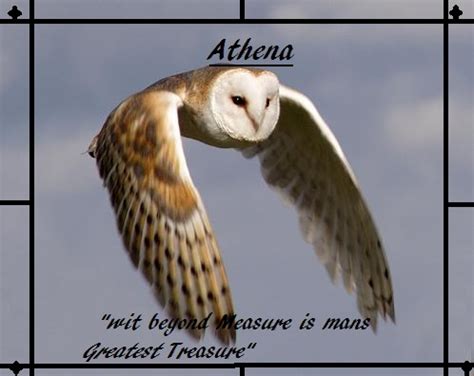 Athena Quote by MasteroftheHunt on DeviantArt