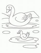 Free Printable Coloring Pages Water Babies & Book For Kids sketch template