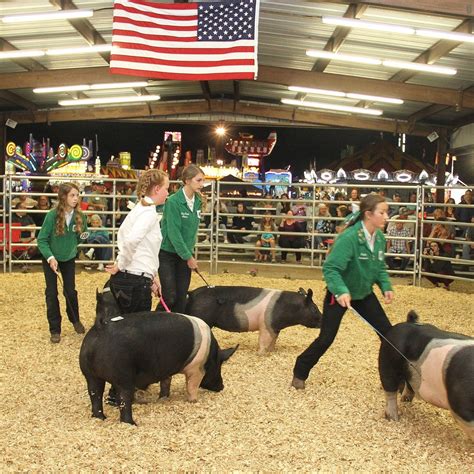 Flagler County Fair and Youth Show | Bunnell FL