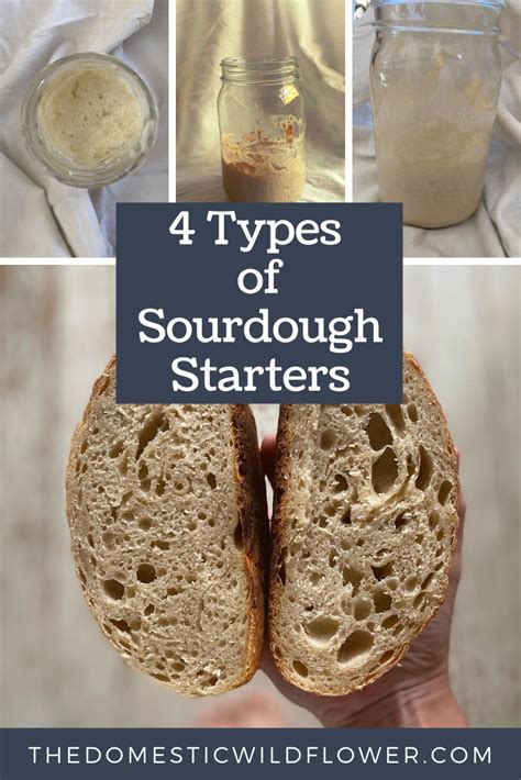 4 Types of Sourdough Starter