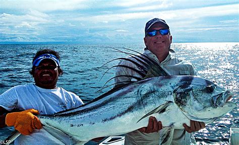 Catching Big Roosterfish | Coastal Angler & The Angler Magazine