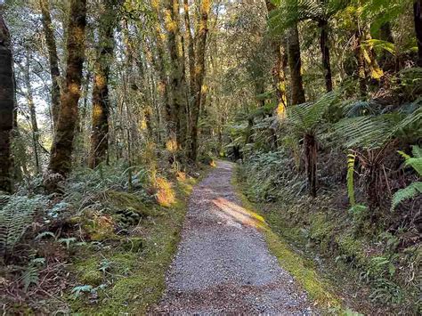 15 BEST Hikes in Milford Sound