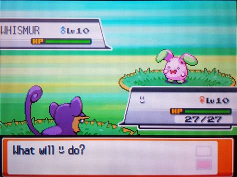 [4] Happy Wednesday! Hoenn sound shiny Whismur appeared on phase 1 for ...