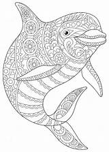 Island Of The Blue Dolphins Coloring Page Pages sketch template