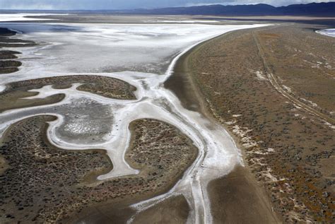 A dried-up Calif. lake makes a comeback – and so do the species it sustains