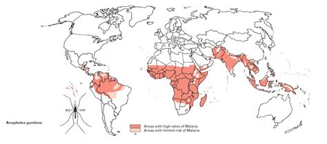 IAMAT | Malaria