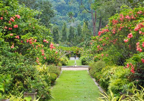 8 beautiful urban parks in Malaysia we can't wait to revisit - Going Places by Malaysia Airlines