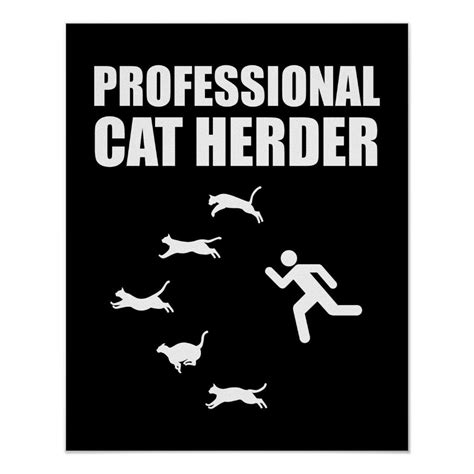 Cat herder – Artofit