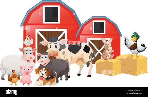 Farm animals in the barn illustration Stock Vector Image & Art - Alamy