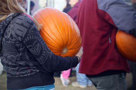 Free Images : person, farm, fall, orange, harvest, youth, vegetable ...