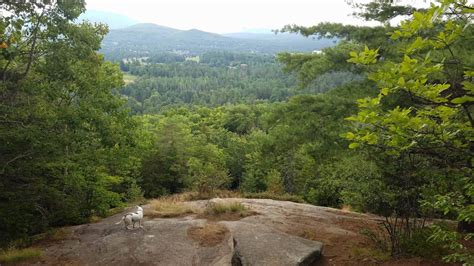 Three Quick Hikes In And Around Lake Placid | Lake Placid, Adirondacks