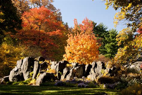 Azalea Garden Archives - Plant Talk