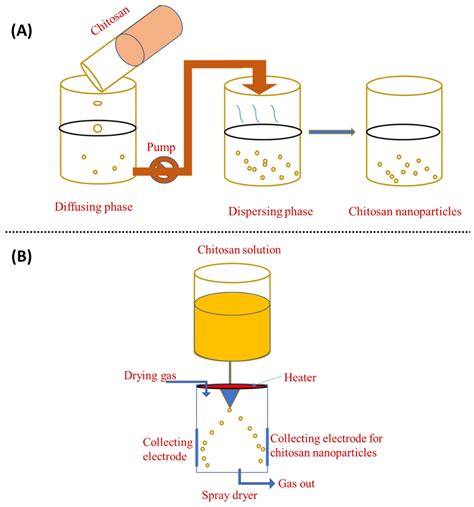 Materials | Free Full-Text | Chitosan Nanoparticles: A Versatile ...