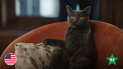 Cat’s More Like It: Chewy Makes The Best Pet Ad In Years | System1 Group | Chewy