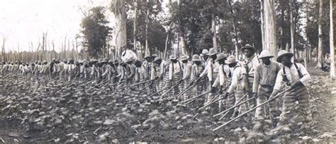 Mississippi State Penitentiary at Parchman (1901 - ) •