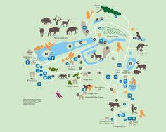 melbourne-zoo-map | Melbourne zoo, Zoo map, Zoo