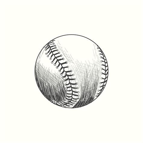 Baseball softball vector illustration in black. Detailed vintage style drawing 20412694 Vector ...