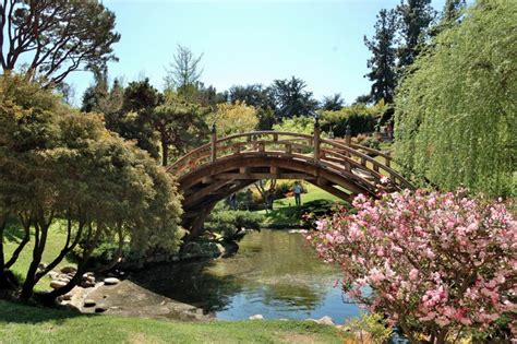 16 Gorgeous Los Angeles Botanical Gardens You Definitely Need to Visit Once