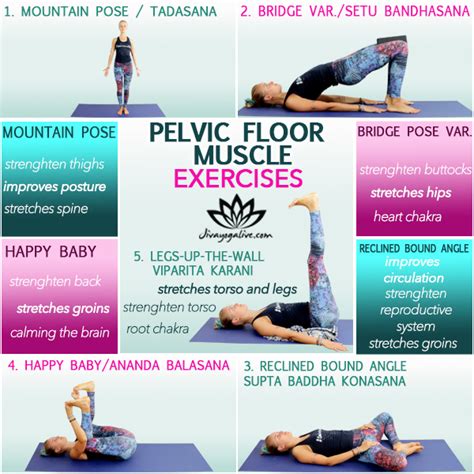 Pelvic Floor Muscle Yoga Exercises - Jivayogalive