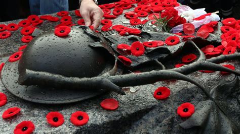 More Canadians plan to attend Remembrance Day ceremonies this year: poll | CTV News