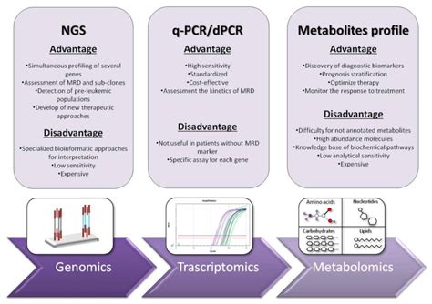 PCR and NGS in Acute Myeloid Leukemia | Encyclopedia MDPI