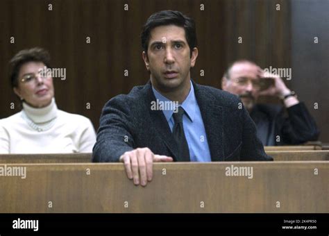 DAVID SCHWIMMER, NOTHING BUT THE TRUTH, 2008 Stock Photo - Alamy